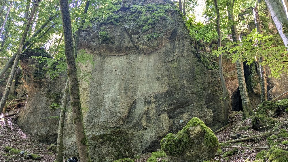 Bild Felsbilder aus dem nördlichen Frankenjura