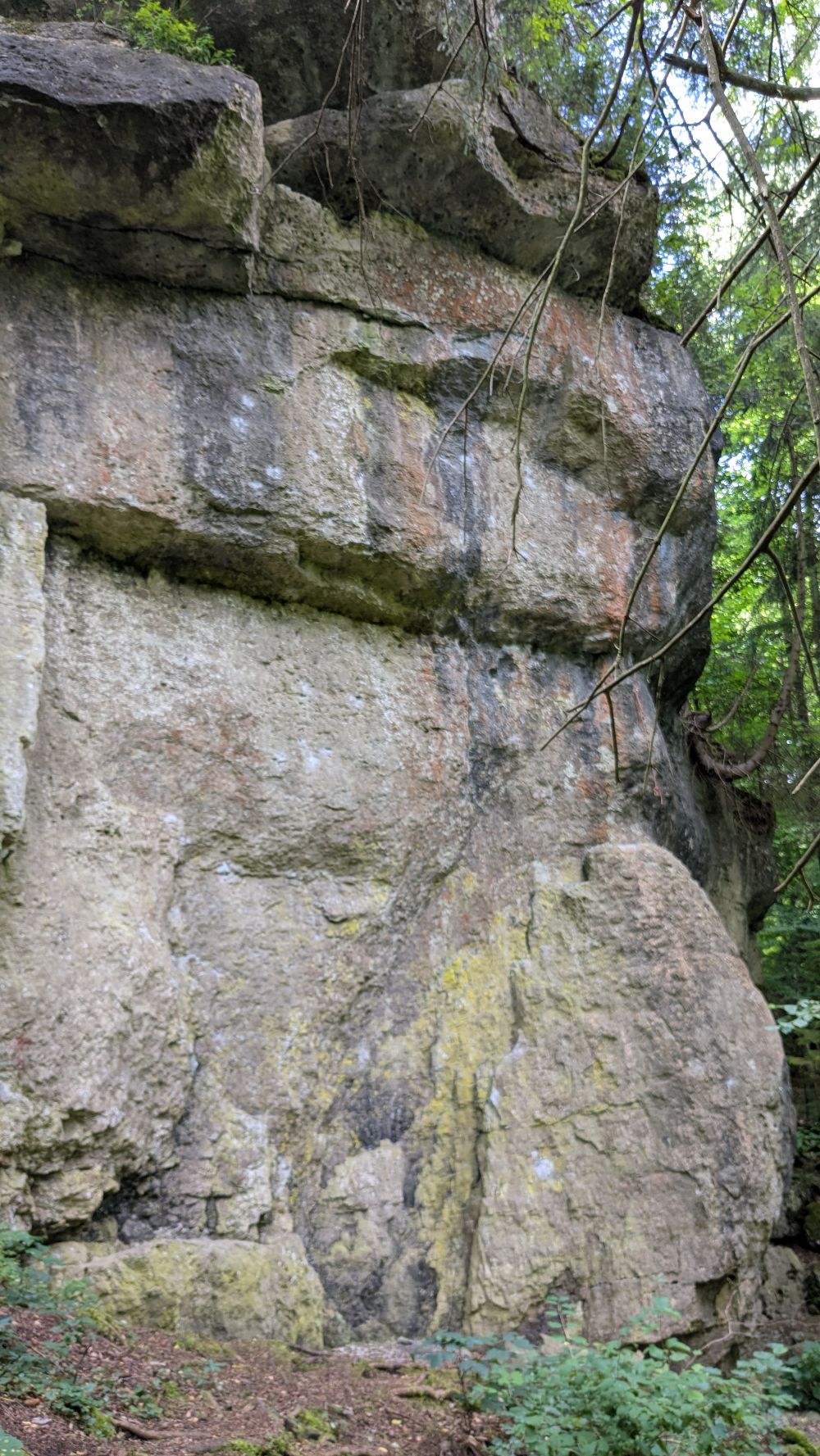 Bild Felsbilder aus dem nördlichen Frankenjura