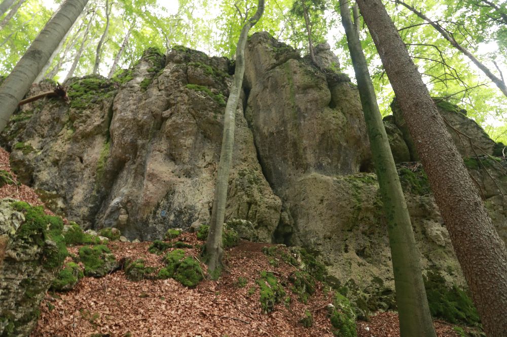 Bild Langer Berg | Steingarten 02 - Monte Kanzowne