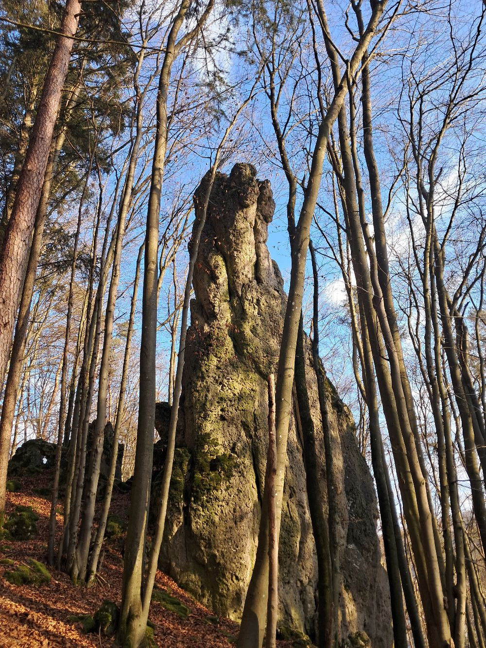 Kleiner Mönch /Pater