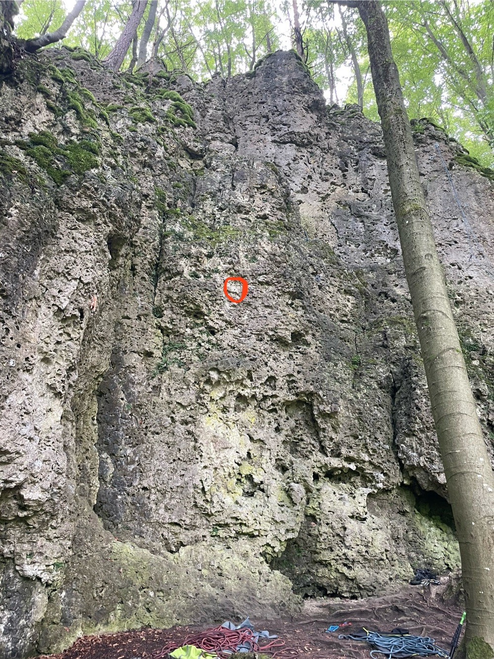 Betzensteiner Sportkletterwand: Lockerer Haken in Rokokowand