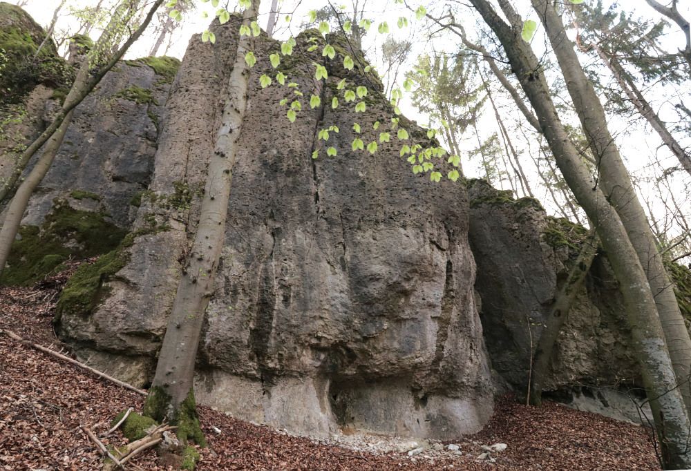 Der Druidenstein bei Wohlmannsgesees