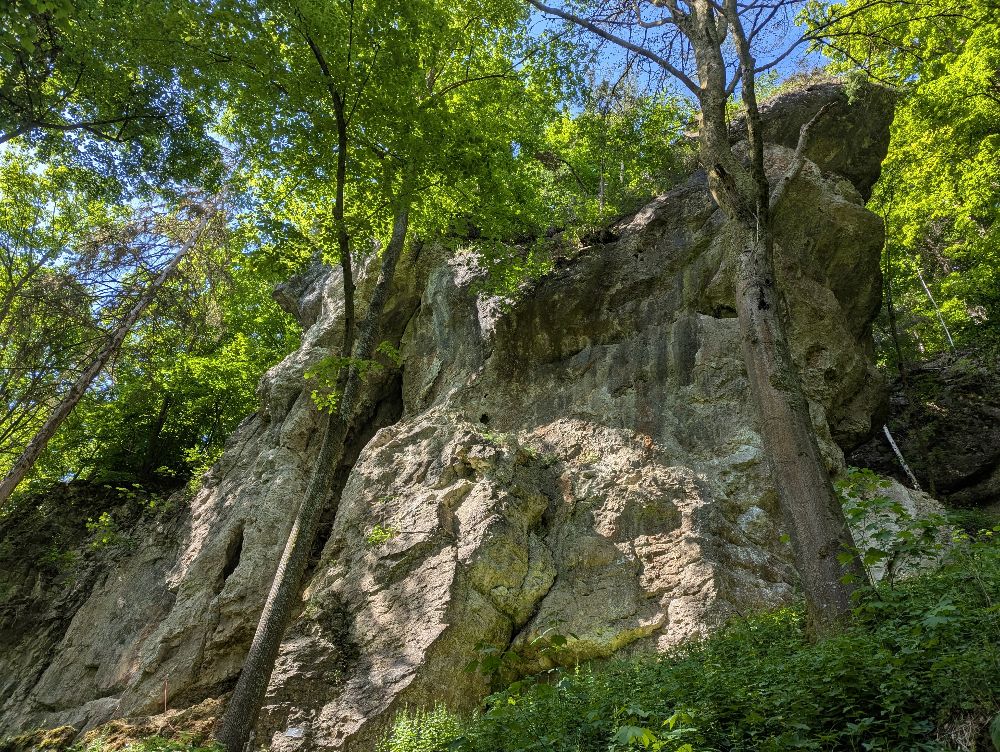 Die Lochauer Wand zwischen Hollfeld und Waischenfeld (Bild: Benedikt Weber)