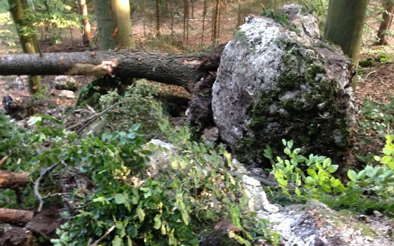 Der Wandfuß nach der Abräumaktion (Bild: Bergwacht Amberg-Sulzbach)