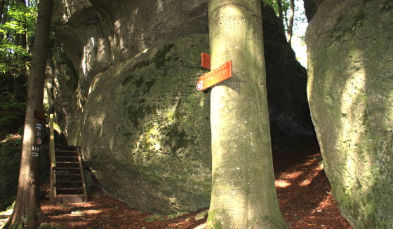 Der Steinberg befindet sich unweit von Königstein