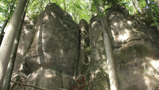 Der Sektor ´Schwarzer Donner´ im Gebiet ´Steinberg Süd´