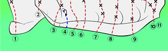 Schlumpfendorf 01 - Necronomicon